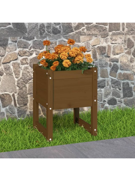 Lovelis, medaus rudas, 40x40x52,5cm, pušies medienos masyvas