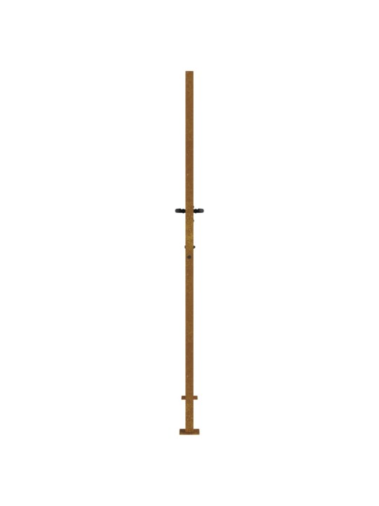 Sodo vartai, 105x205cm, corten plienas, žolės dizaino