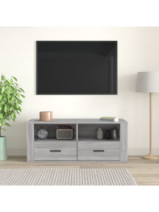 Televizoriaus spintelė, pilka ąžuolo, 100x35x40cm, mediena