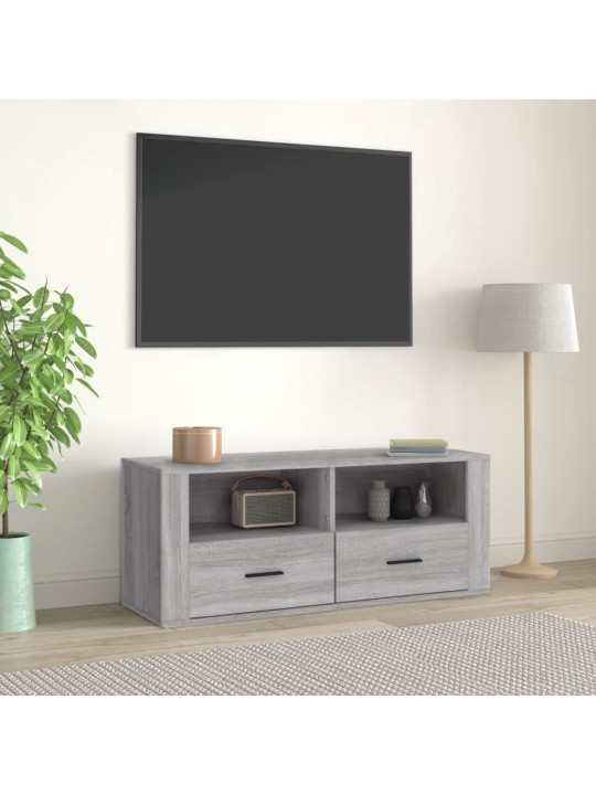 Televizoriaus spintelė, pilka ąžuolo, 100x35x40cm, mediena