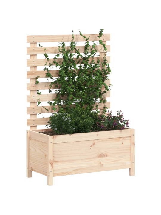 Sodo lovelis su stovu, 79x39,5x114cm, pušies medienos masyvas