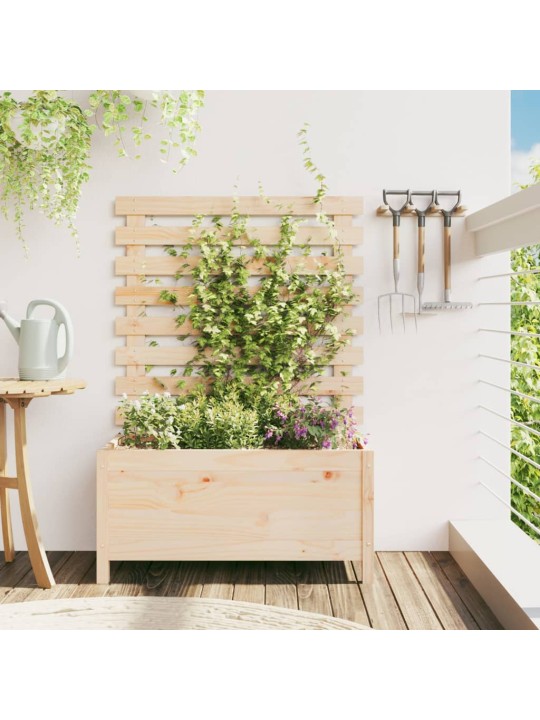 Sodo lovelis su stovu, 79x39,5x114cm, pušies medienos masyvas