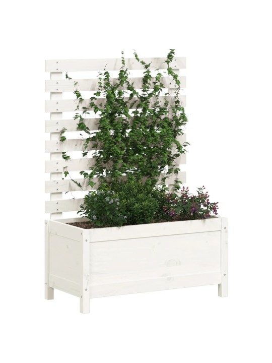 Sodo lovelis su stovu, baltas, 79x39,5x114cm, pušies masyvas