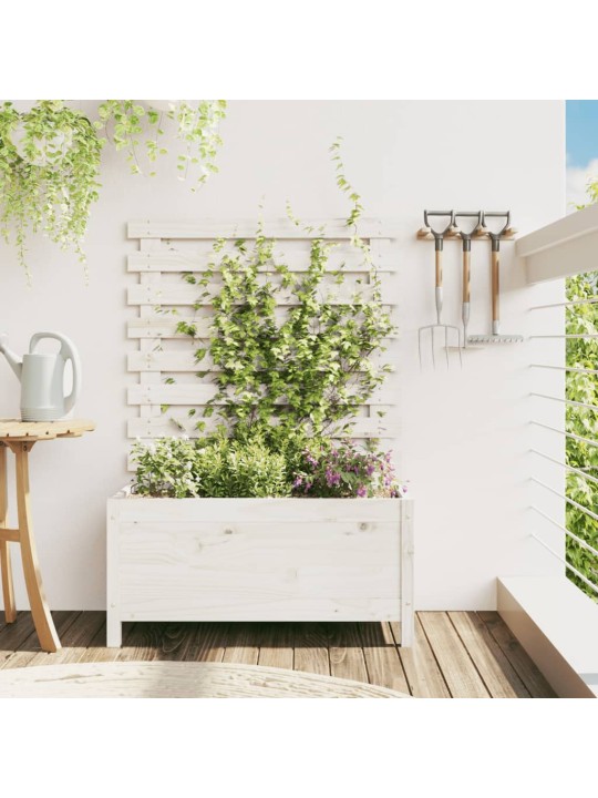 Sodo lovelis su stovu, baltas, 79x39,5x114cm, pušies masyvas