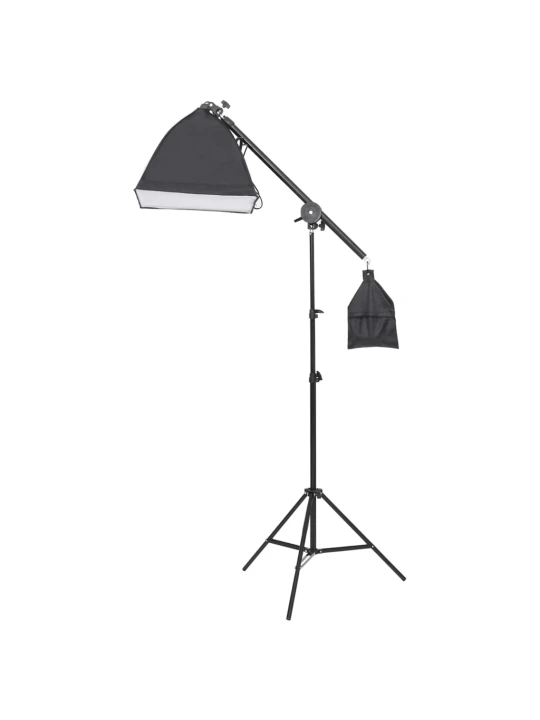 Fotostudijos rinkinys su apšvietimo rinkiniu ir fonu