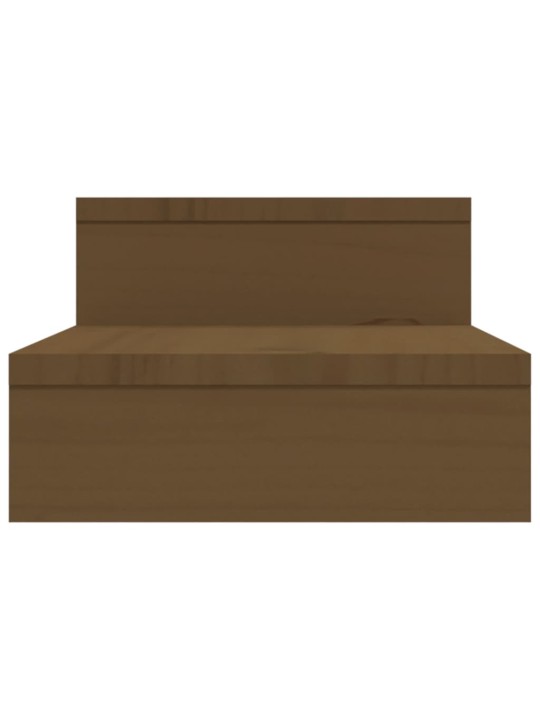 Monitoriaus stovas, medaus rudas, (52–101)x22x14cm, pušis