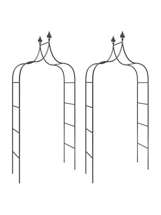 Sodo arkos, 2vnt., juodos spalvos, 120x38x260cm, plienas