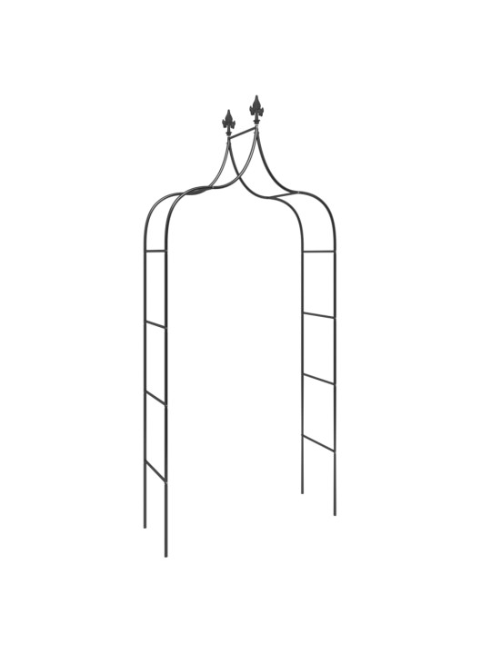 Sodo arkos, 2vnt., juodos spalvos, 120x38x260cm, plienas