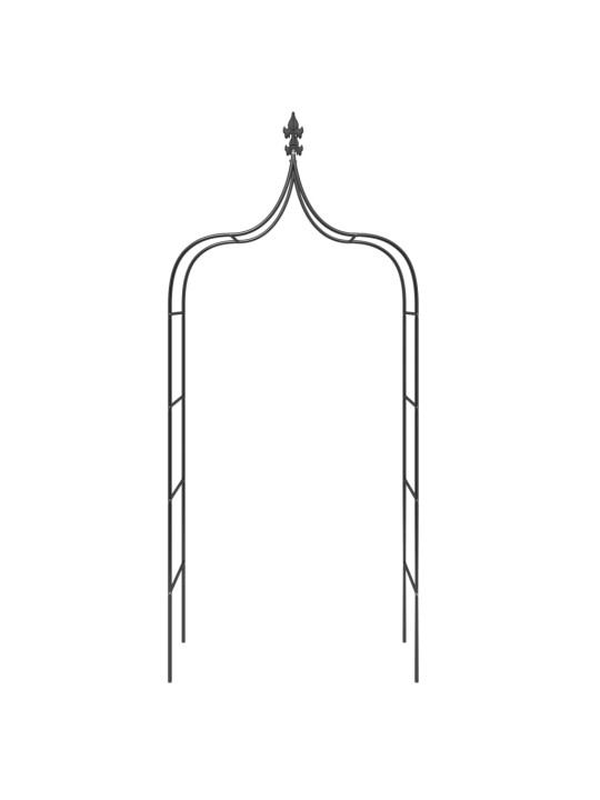 Sodo arkos, 2vnt., juodos spalvos, 120x38x260cm, plienas