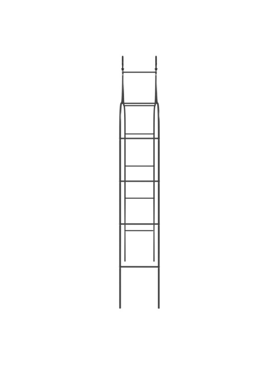 Sodo arkos, 2vnt., juodos spalvos, 120x38x260cm, plienas