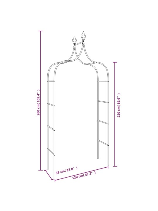Sodo arkos, 2vnt., juodos spalvos, 120x38x260cm, plienas