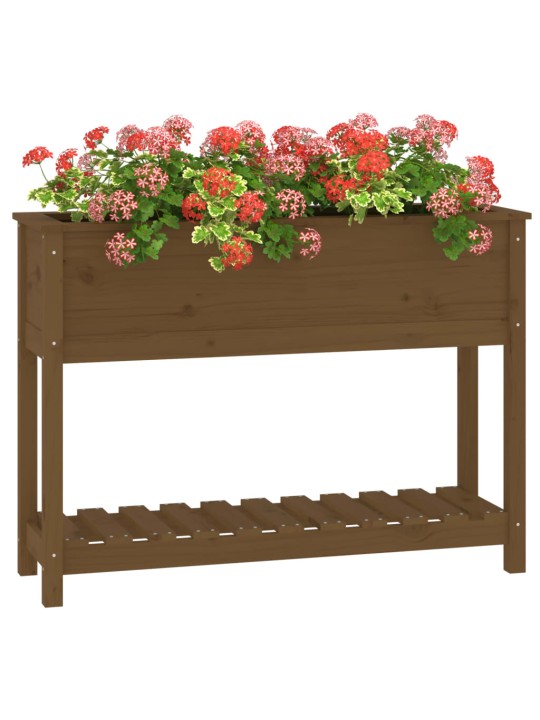 Lovelis su lentyna, medaus rudas, 111,5x34,5x81cm, pušis
