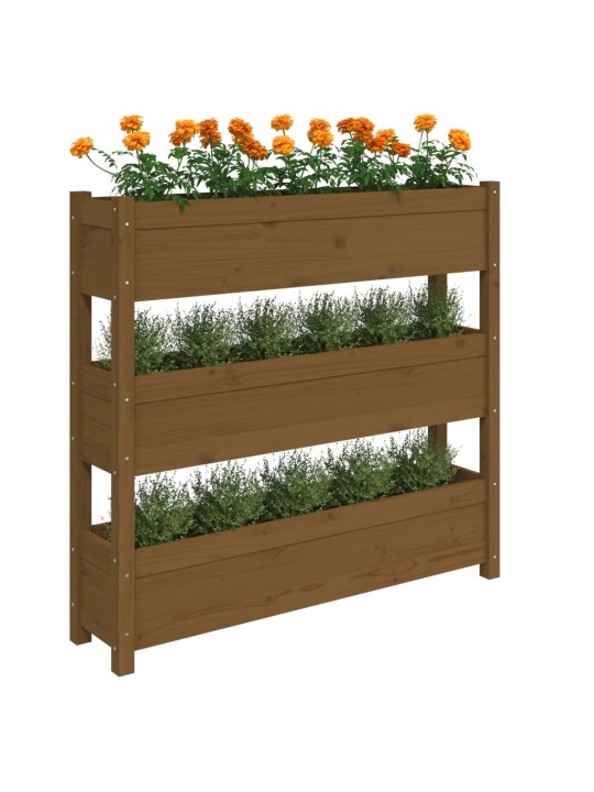 Lovelis, medaus rudas, 112x25x104,5cm, pušies medienos masyvas