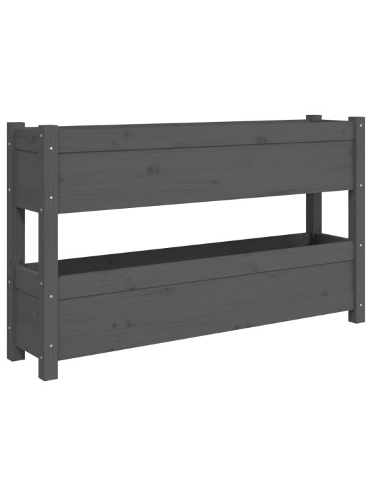 Lovelis, pilkos spalvos, 112x25x66cm, pušies medienos masyvas