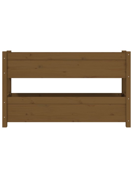 Lovelis, medaus rudas, 112x25x66cm, pušies medienos masyvas