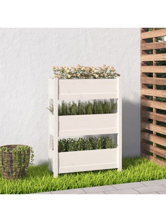 Lovelis, baltas, 77x25x104,5cm, pušies medienos masyvas