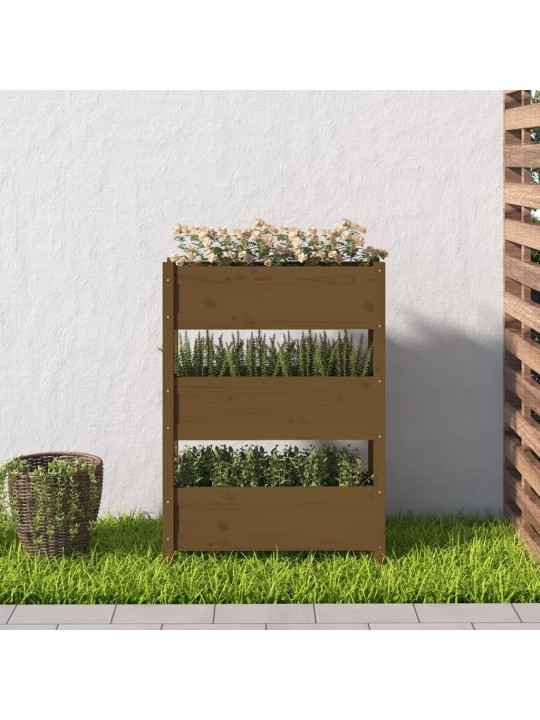 Lovelis, medaus rudas, 77x25x104,5cm, pušies medienos masyvas
