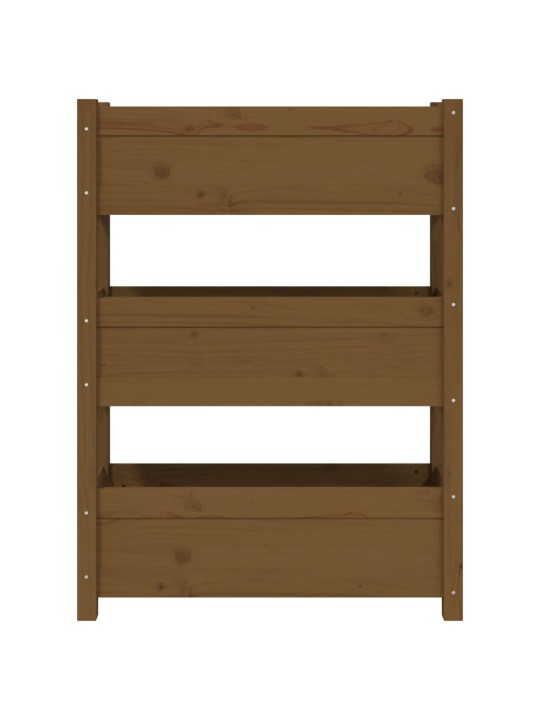 Lovelis, medaus rudas, 77x25x104,5cm, pušies medienos masyvas
