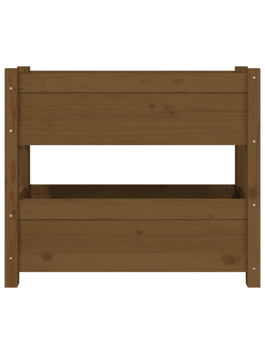 Lovelis, medaus rudas, 77x25x66cm, pušies medienos masyvas