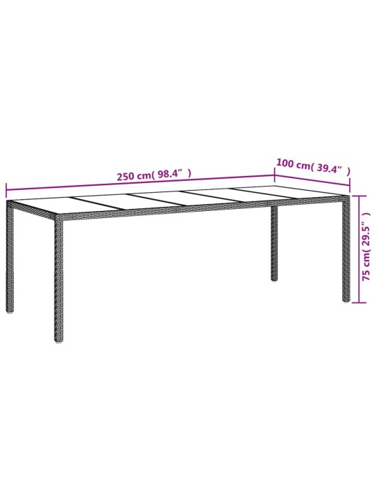 Sodo stalas, baltas, 250x100x75cm, poliratanas ir stiklas