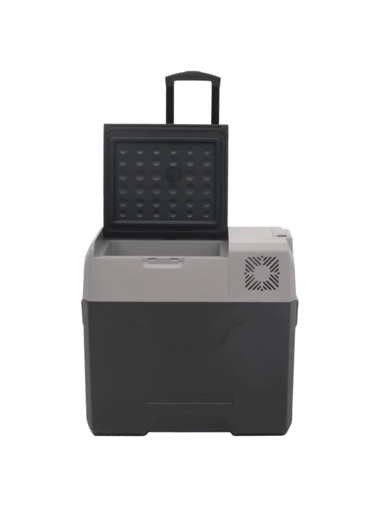 Šaltdėžė su ratukais ir adapteriu, juoda ir pilka, 40l, PP