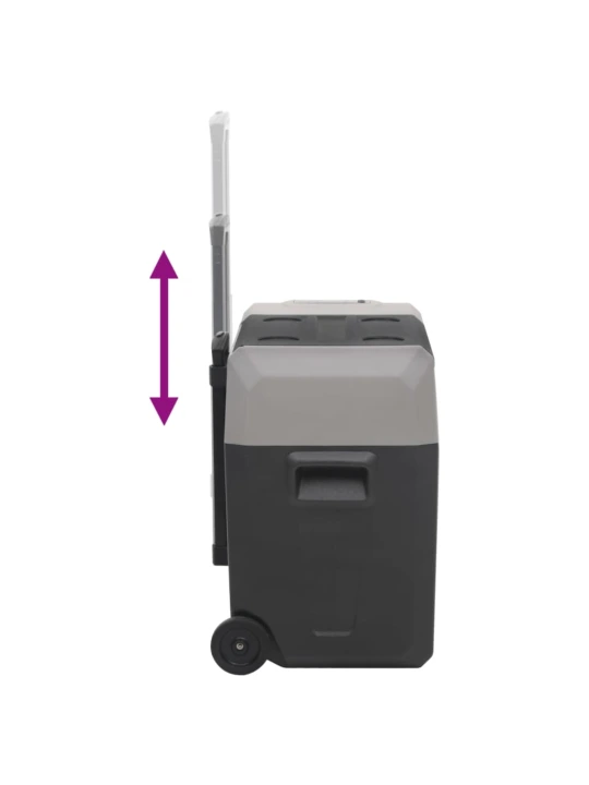 Šaltdėžė su ratukais ir adapteriu, juoda ir pilka, 40l, PP