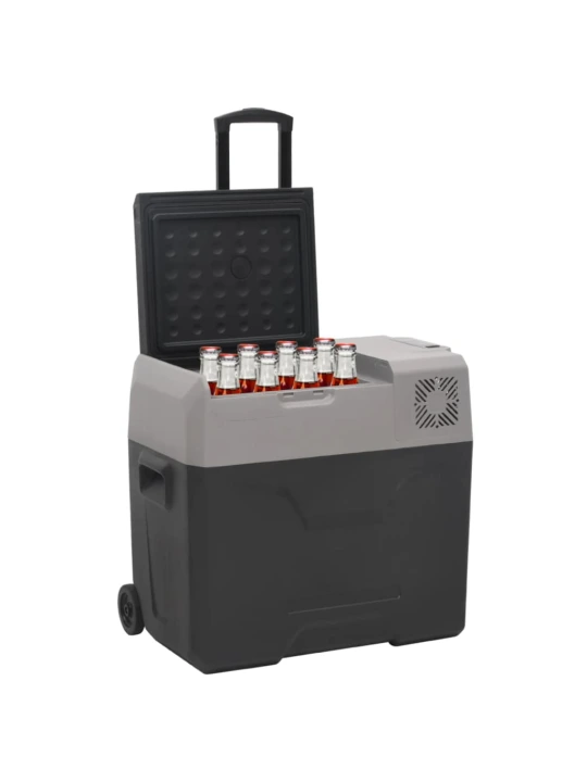 Šaltdėžė su ratukais ir adapteriu, juoda ir pilka, 50l, PP
