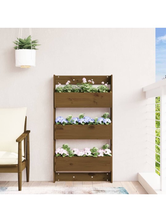 Sieninis lovelis, 3 aukštų, medaus rudas, 60x18,5x110cm, pušis