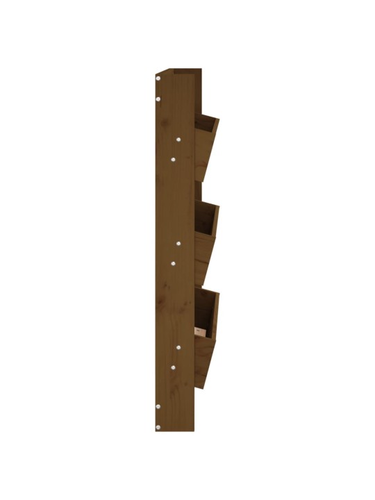 Sieninis lovelis, 3 aukštų, medaus rudas, 60x18,5x110cm, pušis