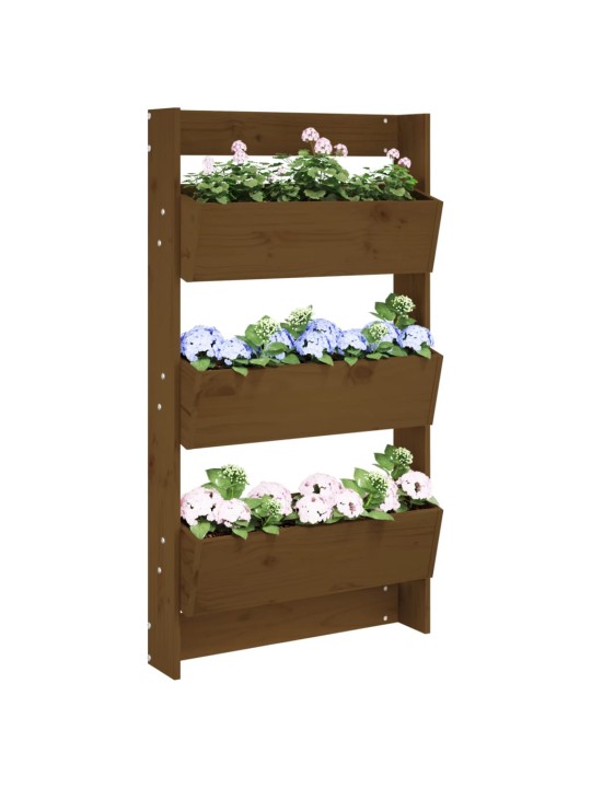 Sieninis lovelis, 3 aukštų, medaus rudas, 60x18,5x110cm, pušis