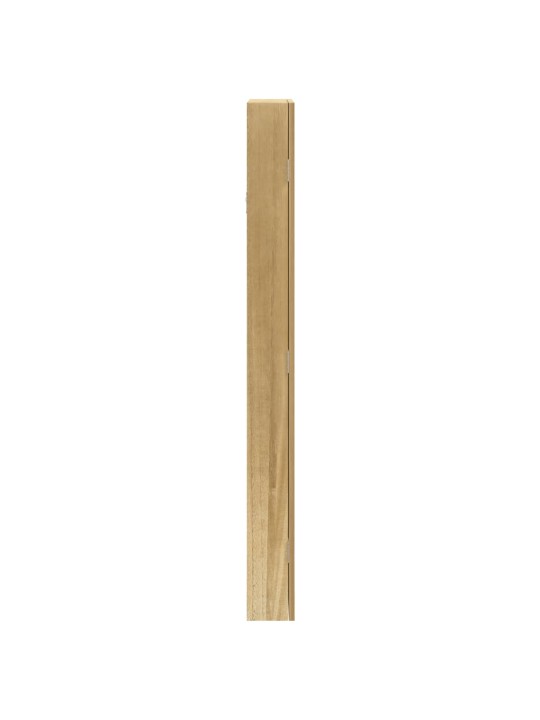 Veidrodinė papuošalų spintelė, 37,5x10x106cm, sieninė