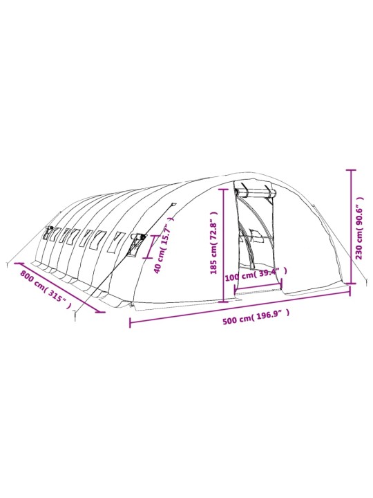 Šiltnamis su plieno rėmu, žalios spalvos, 8x5x2,3m, 40m²