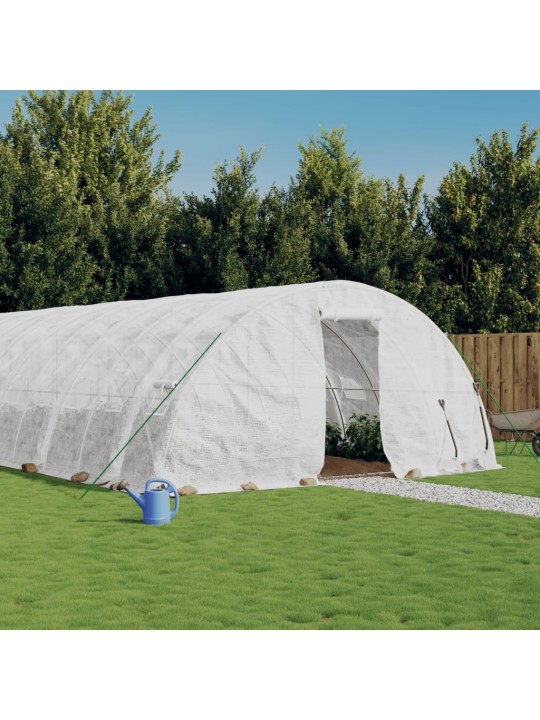 Šiltnamis su plieno rėmu, baltos spalvos, 14x5x2,3m, 70m²
