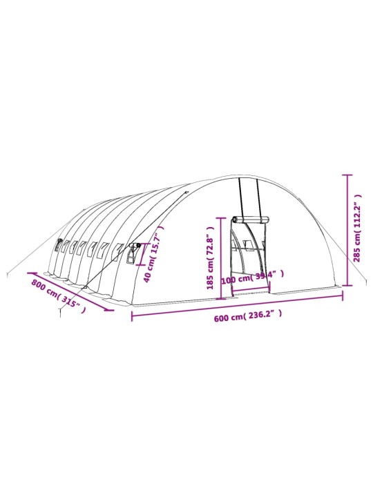 Šiltnamis su plieno rėmu, žalios spalvos, 8x6x2,85m, 48m²