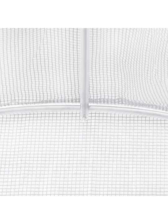 Šiltnamis su plieno rėmu, baltos spalvos, 10x6x2,85m, 60m²