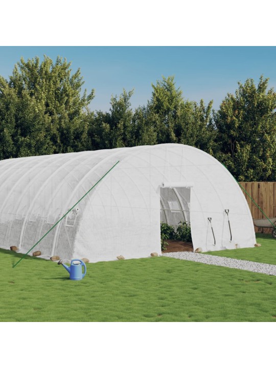 Šiltnamis su plieno rėmu, baltos spalvos, 10x6x2,85m, 60m²