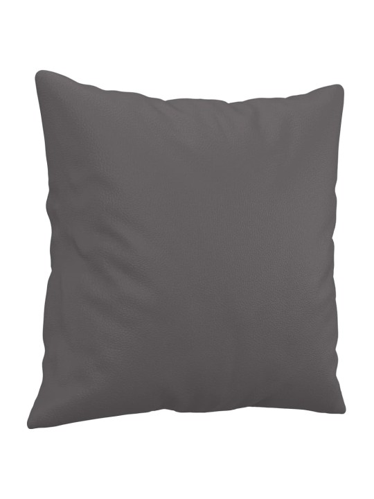 Dvivietė sofa su pagalvėlėmis, pilka, 120cm, dirbtinė oda