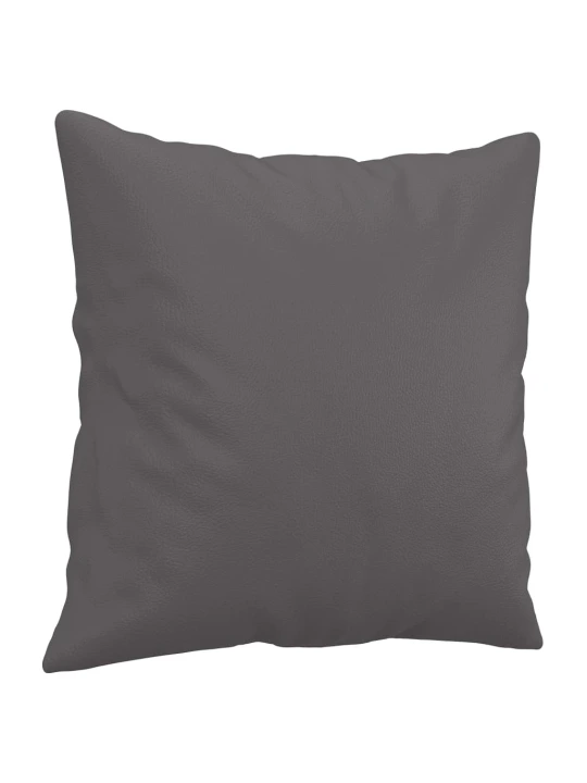 Dvivietė sofa su pagalvėlėmis, pilka, 120cm, dirbtinė oda