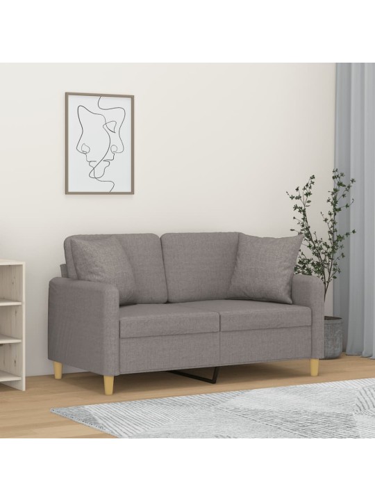 Dvivietė sofa su pagalvėlėmis, šviesiai pilka, 120cm, audinys