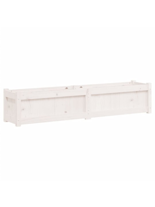 Sodo lovelis, baltas, 150x31x31cm, pušies medienos masyvas