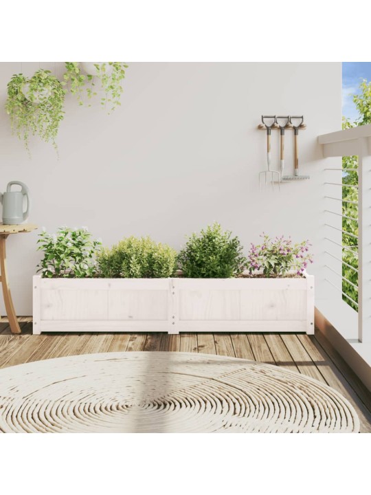 Sodo lovelis, baltas, 150x31x31cm, pušies medienos masyvas
