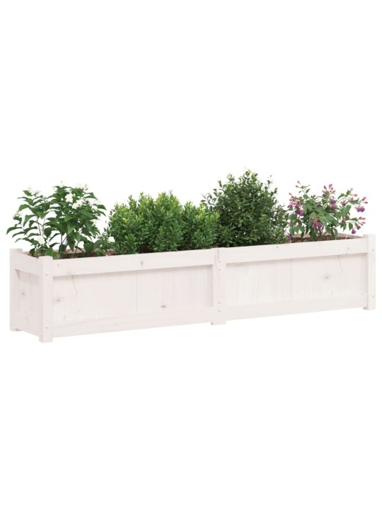 Sodo lovelis, baltas, 150x31x31cm, pušies medienos masyvas