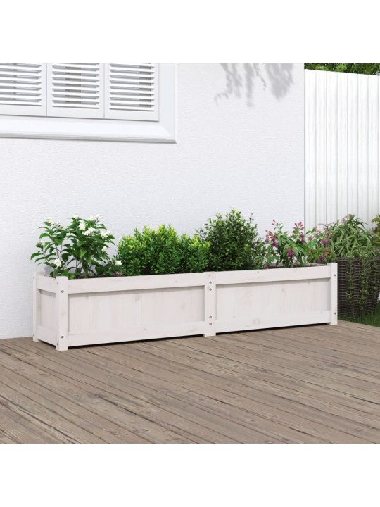 Sodo lovelis, baltas, 150x31x31cm, pušies medienos masyvas