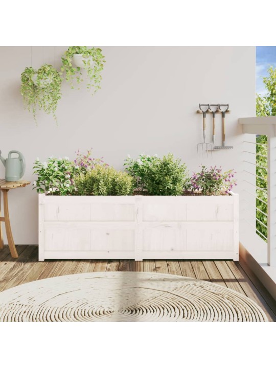 Sodo lovelis, baltas, 150x50x50cm, pušies medienos masyvas