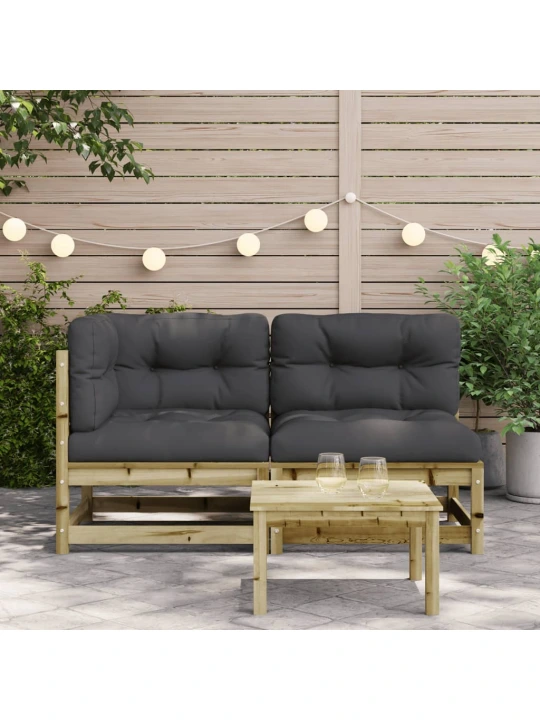 Dvivietė sodo sofa su pagalvėlėmis, impregnuota pušies mediena