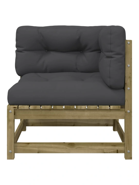 Dvivietė sodo sofa su pagalvėlėmis, impregnuota pušies mediena