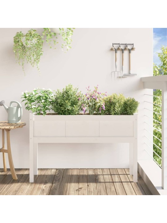 Sodo lovelis su kojelėmis, baltas, 110x31x70cm, pušies masyvas