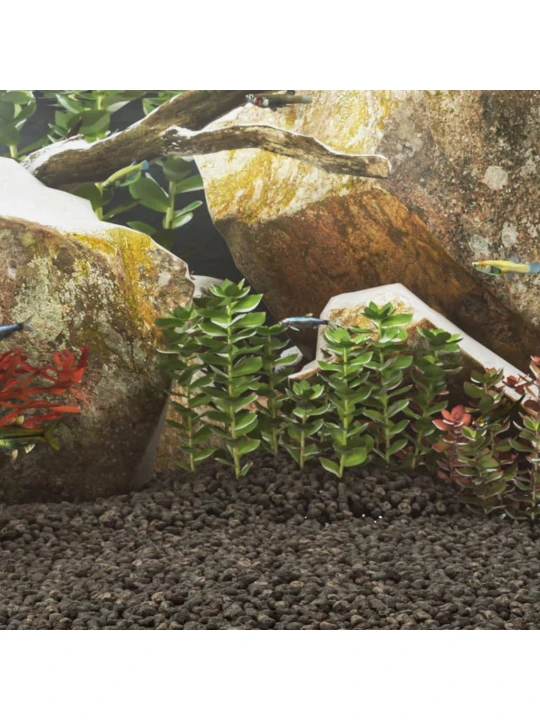 Vulkaninės uolienos, juodos spalvos, 10kg, 1–2cm