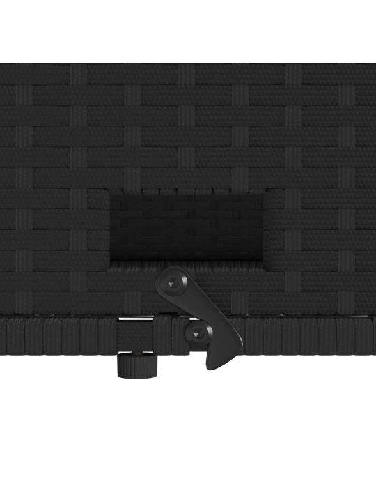 Dvivietė sodo sofa su pagalvėlėmis, juoda, poliratanas/akacija