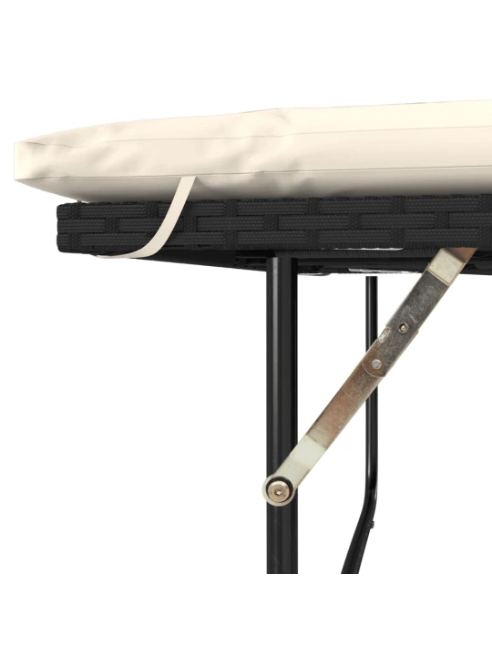 Dvivietė sodo sofa su pagalvėlėmis, juoda, poliratanas/akacija